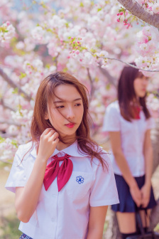 北条麻妃手机在线观看